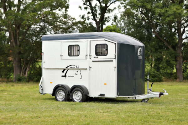 2-SITZER VAN DIAGONALLADER CHEVAL LIBERTE MAXI 2 – Bild 6